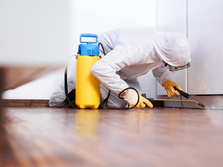 aptive pest control reviews aptive pest control reviews