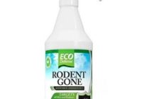 Best Rodent Repellent Spray Reviews, Homemade, Electronic